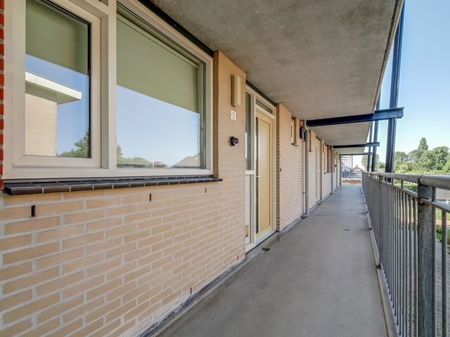 Elft 12, Avenhorn