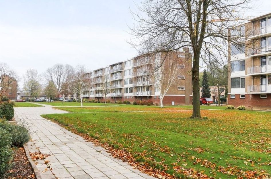 Henri Polakstraat 