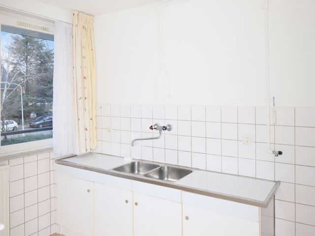 Apollolaan , Leiden
