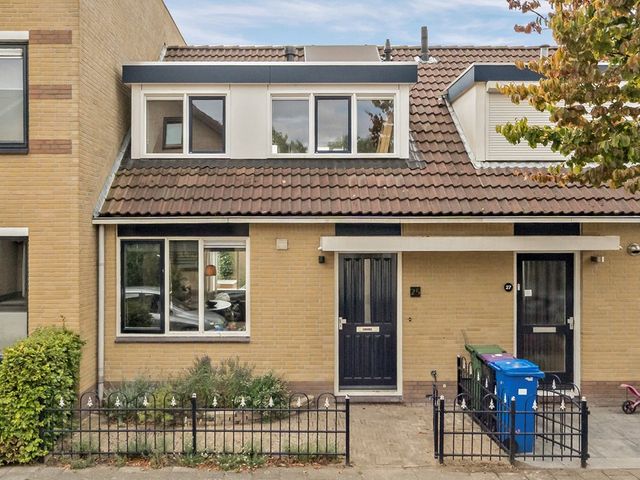 Werve 25, Maasland
