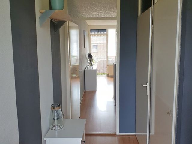 Grift 39, Assen