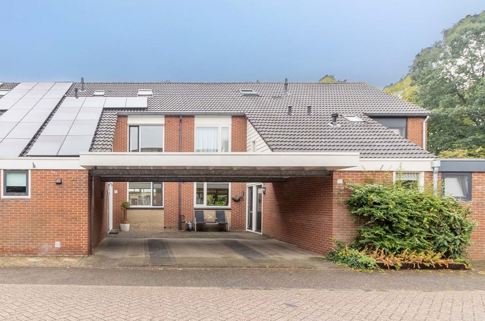 Leeuwerik 31