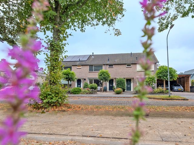 Stroom 311, Assen