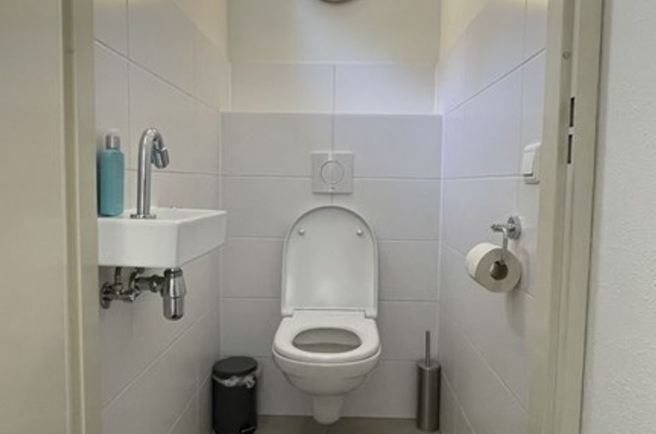 De Rug 3 269