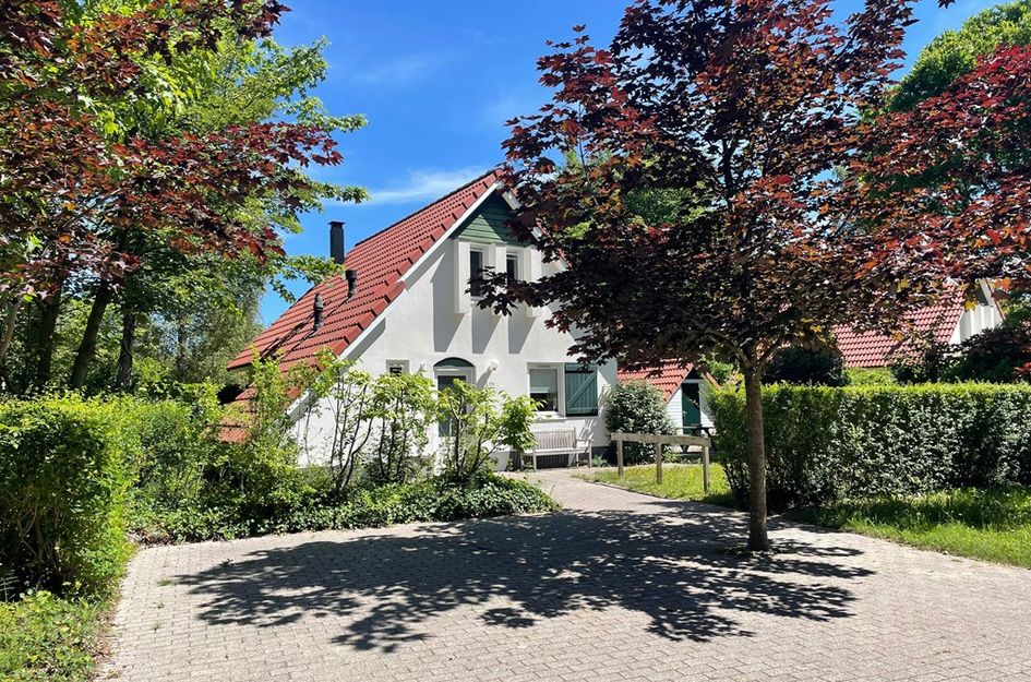 De Rug 3 269
