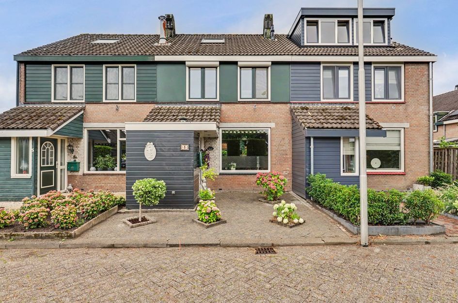 Dotterbloemstraat 3
