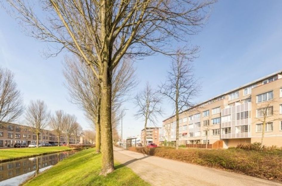 Brabantstraat ONG