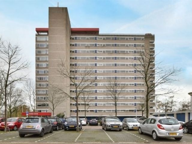 Wimbledonpark ONG, Amstelveen