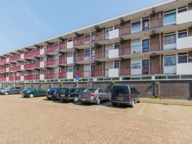 Fideliolaan ONG, Amstelveen