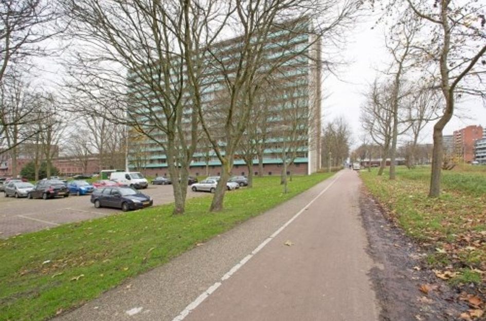 Langswater ONG