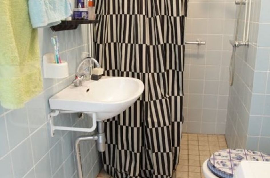 Bolestein ONG