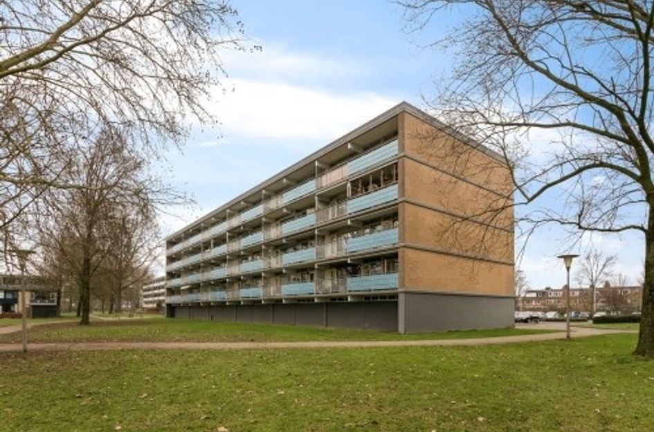 Leimuidenplaats ONG