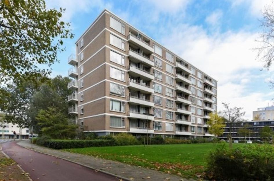 Zwedenburg ONG