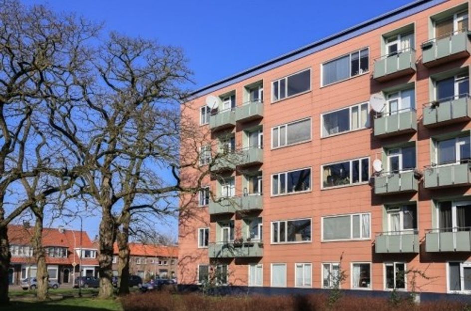Ligusterstraat ONG