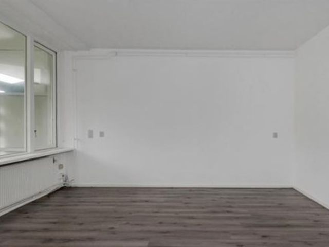 Hooidrift ONG, Rotterdam