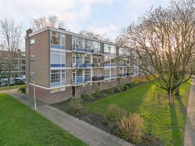 Schoonegge ONG, Rotterdam