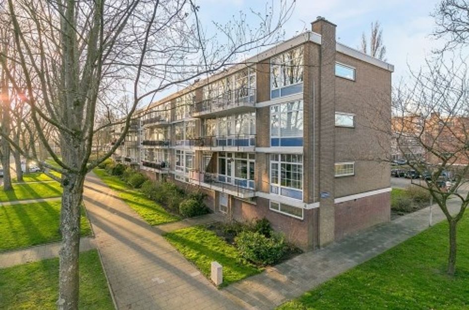 Schoonegge ONG