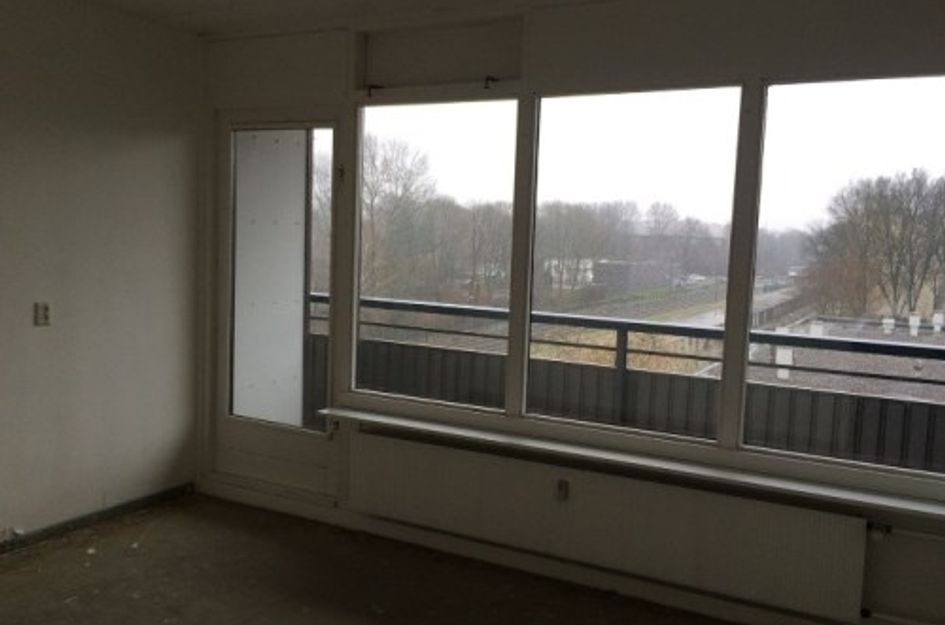 Rümkelaan ONG