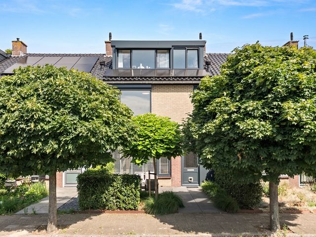 Ruwaard 6, Maasland