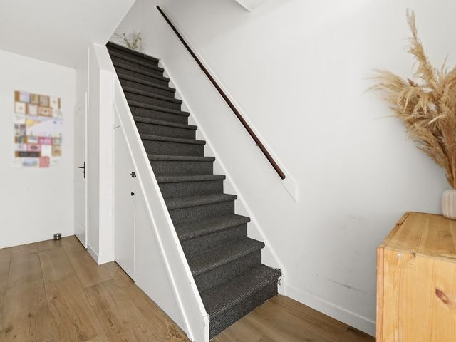 Ruwaard 6, Maasland