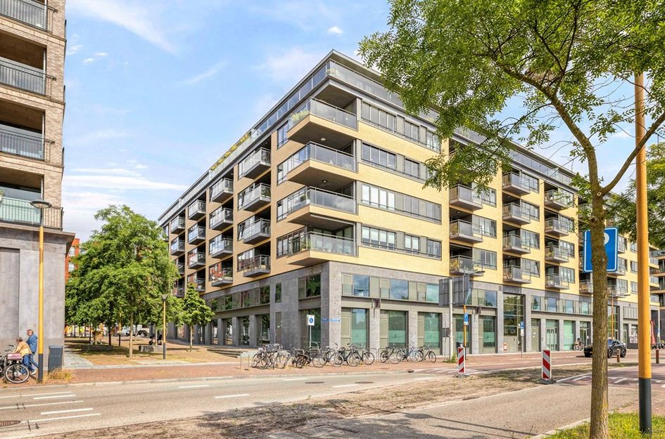 Grauwaartsingel 496