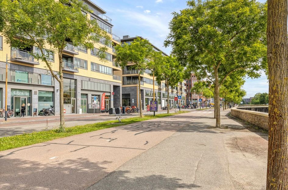 Grauwaartsingel 496