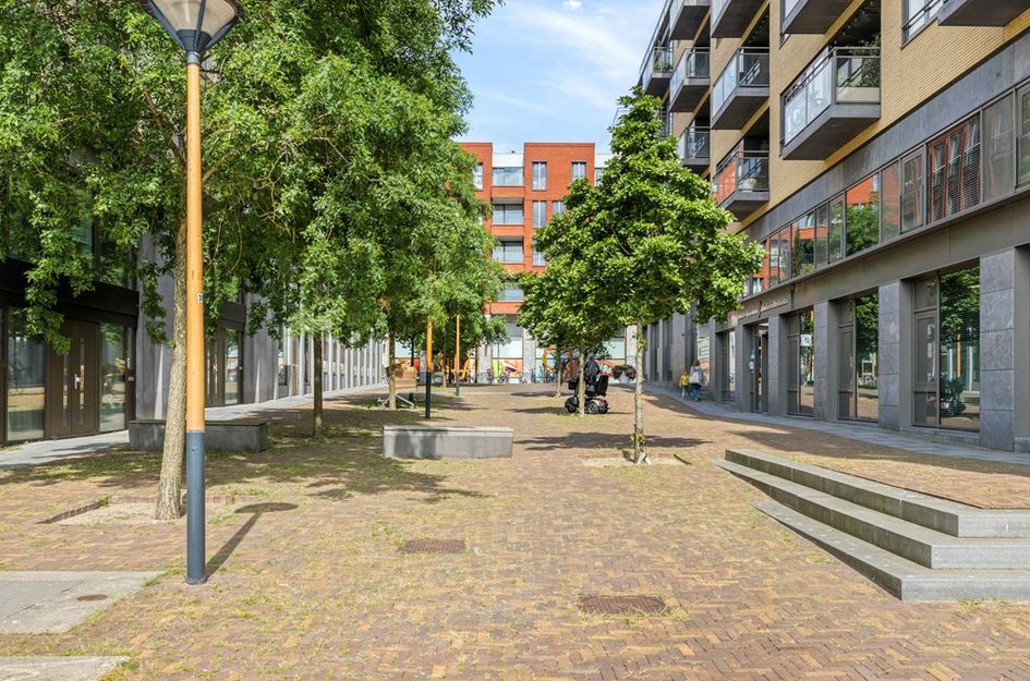 Grauwaartsingel 496