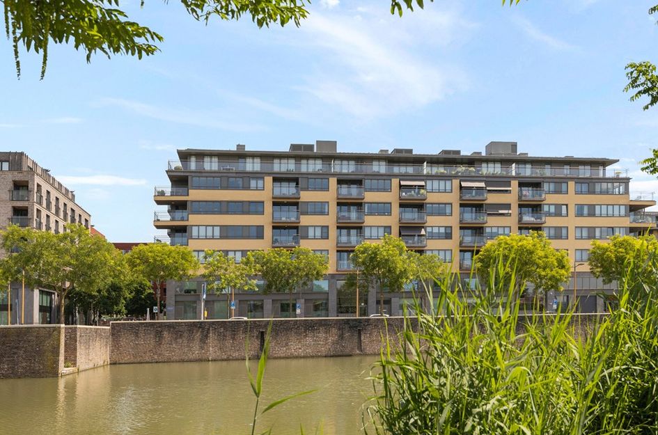 Grauwaartsingel 496