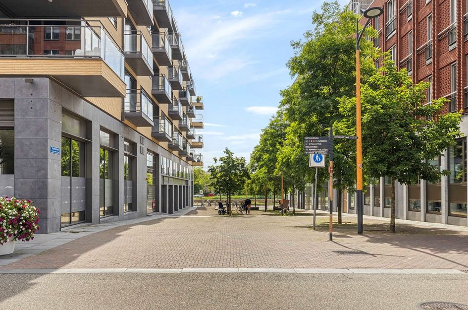 Grauwaartsingel 496