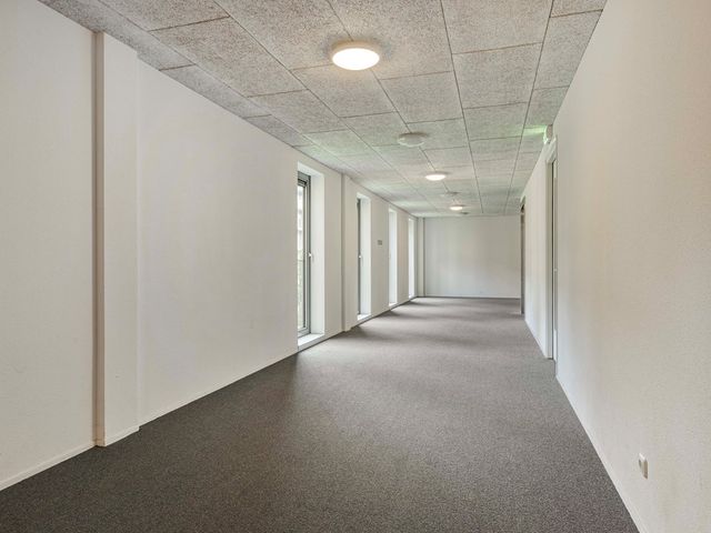 Grauwaartsingel 496, Utrecht