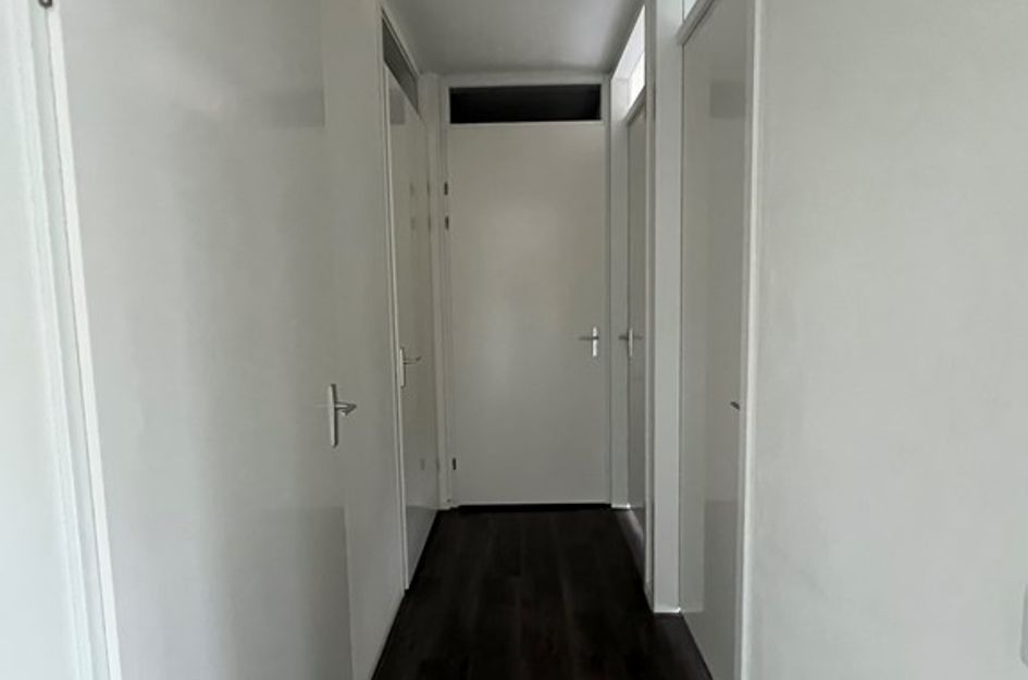 Escamplaan 876T