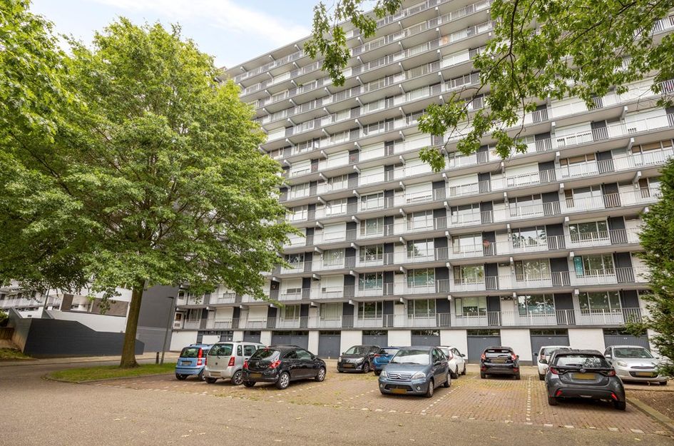 Henri Dunantstraat 301