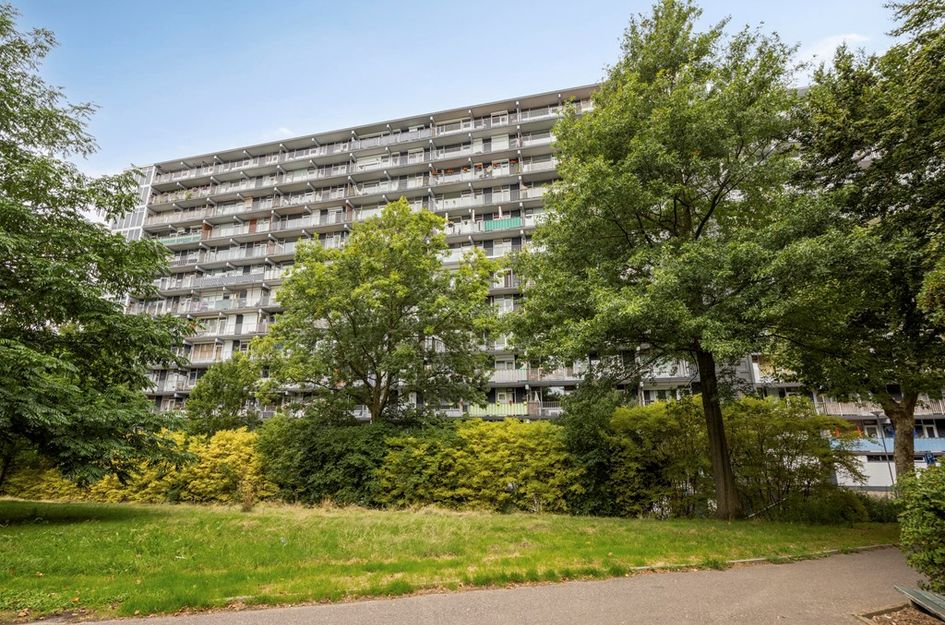Henri Dunantstraat 301