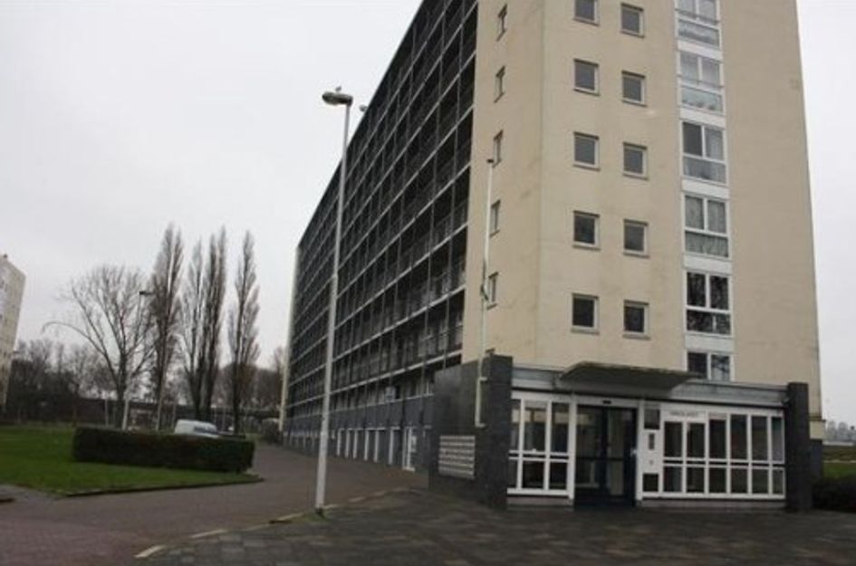 Van Adrichemweg 