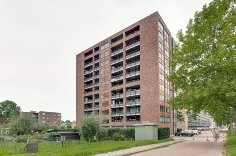 Hoofdweg 