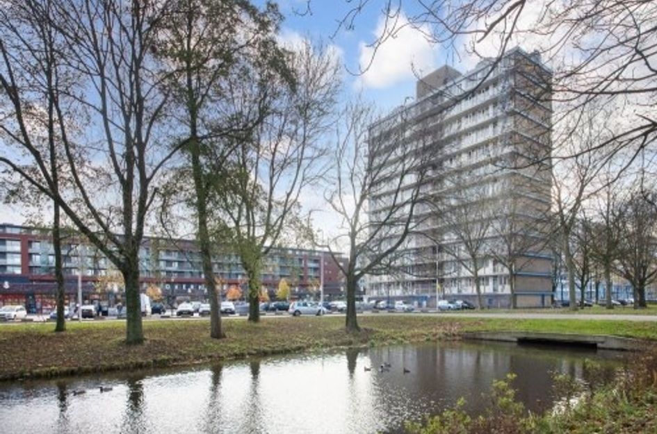 Euterpedreef 