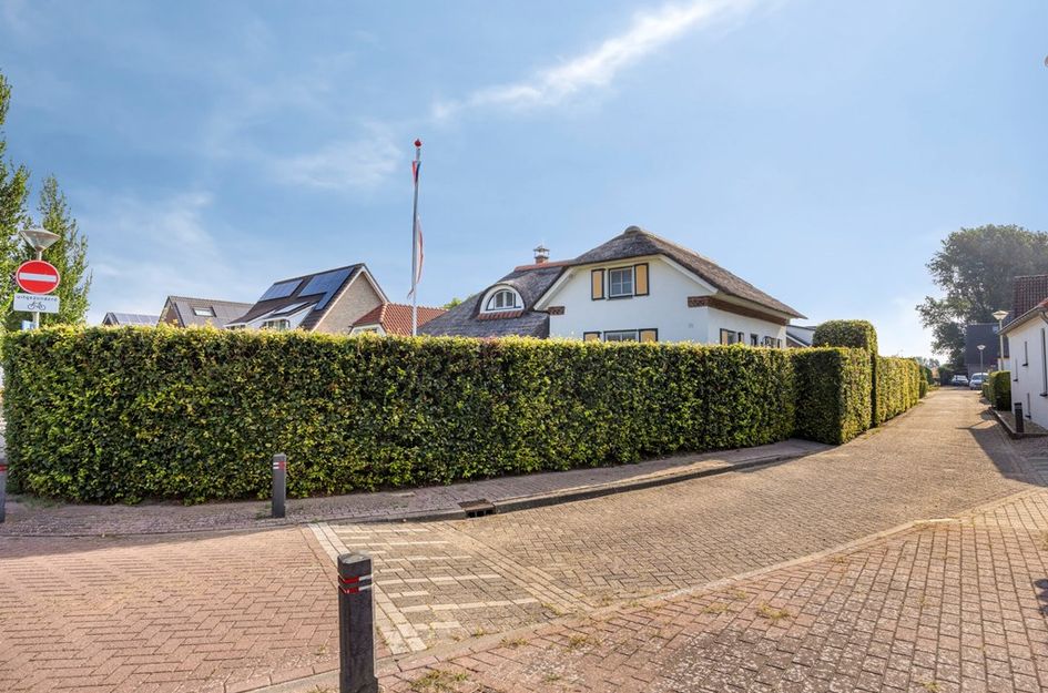 Mesdagstraat 29