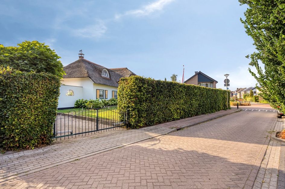 Mesdagstraat 29