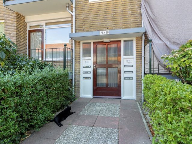 Splinterlaan 36, Leiderdorp