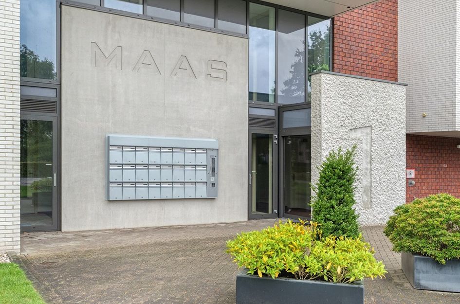 Maas 25