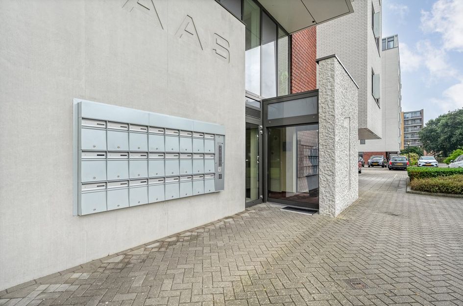 Maas 25