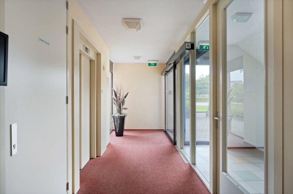 Maas 25