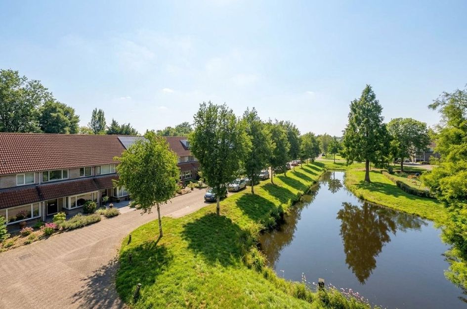Goudplevier 31