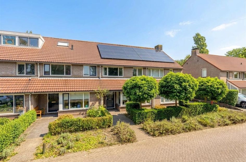 Goudplevier 31