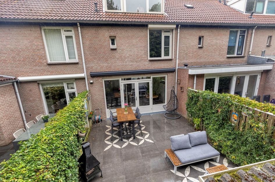 Goudplevier 31