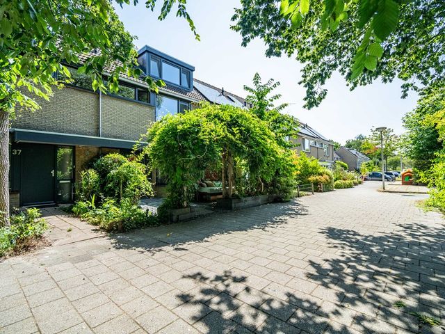 Krammer 39, Alphen aan den Rijn