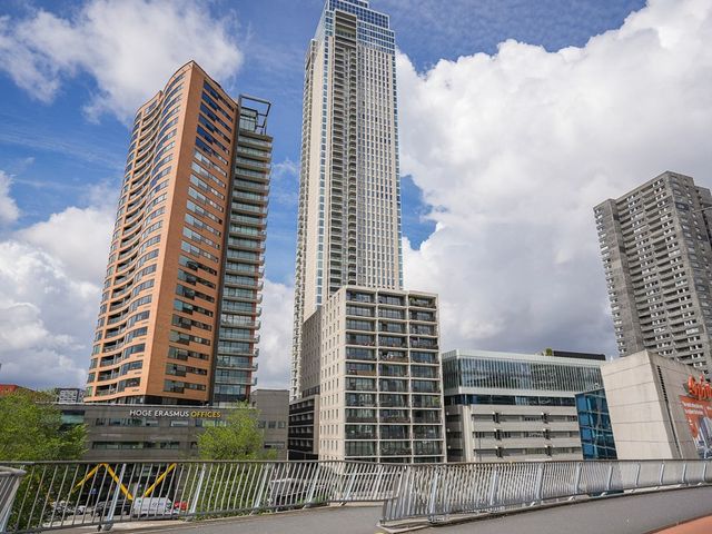 Houtlaan 239, Rotterdam