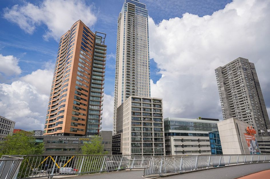 Houtlaan 239