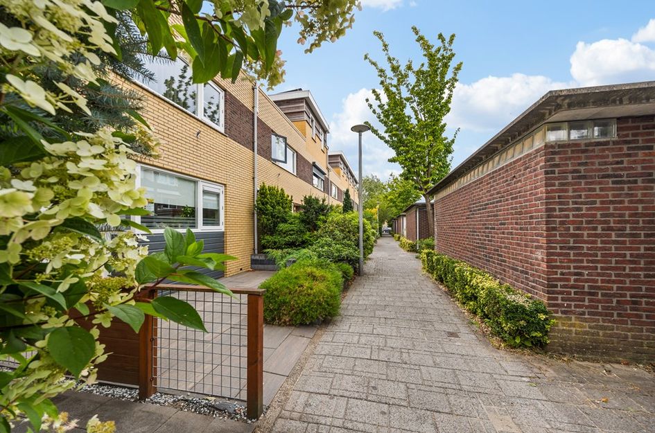 Koolzaadveld 7