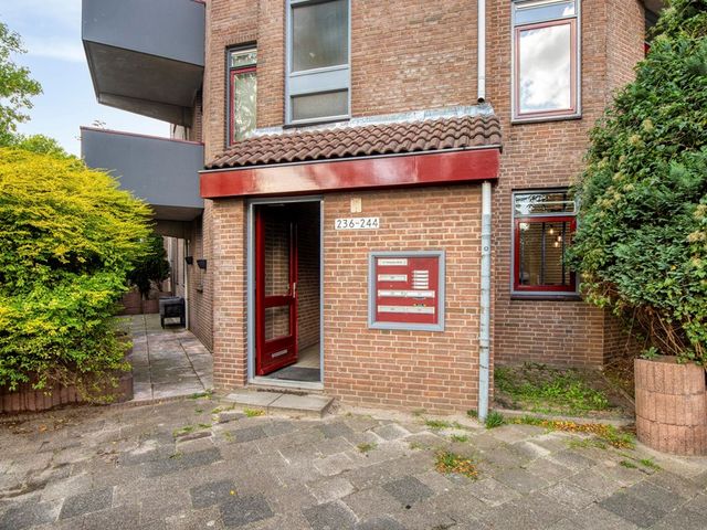 Q.A. Nederpelstraat 236, 's-Gravenhage